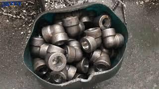 3000LBS Forged Steel Fitting