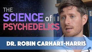 Dr. Robin Carhart-Harris - The Science of Psychedelics with magic mushrooms