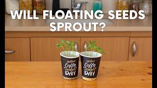 Are Floating Seeds Dead?