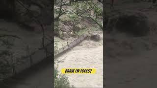 Brave or fools?