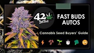 22 Best Fast Buds Autoflower Strains: Seed Buyers' Guide