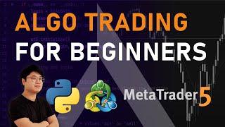 Algo Trading for Beginners | Python MT5