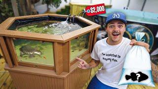 Buying FISH for My NEW 200G POND!! (full build)