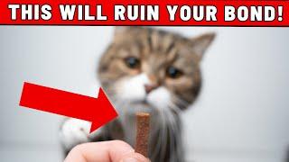 WARNING: 10 Mistakes That Will Ruin the Bond with Your Cat