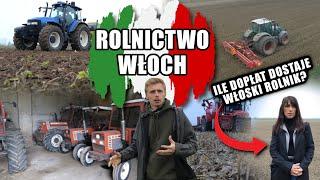 Cała prawda o rolnictwie Włoch! Dlaczego w tym kraju można utrzymać się z kilku hektarów?