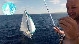 You win some you lose some Real Raw footage | Family Sailing the world | Ep 364