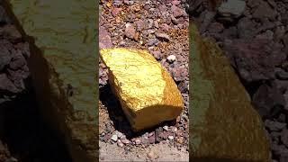 What does it look like gold?