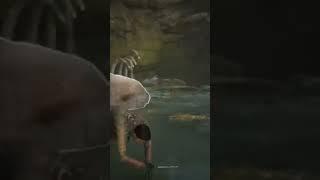 Hogwarts Legacy How to get Graphorn Horns Tameing