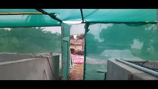 Jajpur town 2hp ring blower machine fitting complete 100000 litar biofloc tank setup