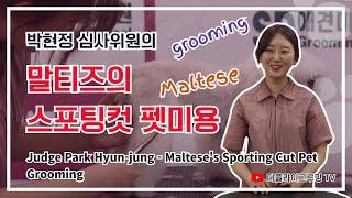 Park Hyun-jung's Sporting Cut Dog Grooming Seminar by Maltese