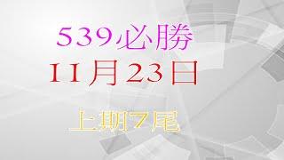 11月23日 539必勝上期中7尾