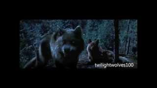 NEW wolf scenes | Twilight 2-4.1 scenes HD.wmv