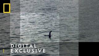 Scotland's Sea Monster  | Drain the Oceans: Secrets of Loch Ness  | National Geographic UK