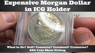 I Picked Up Expensive Morgan in ICG Holder at ANA Coin Show - What to Do? Sell / Conserve / Cross?