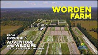 Worden Farm, Organic Farming Family Operation in Punta Gorda, Florida - Shark Brothers Multimedia