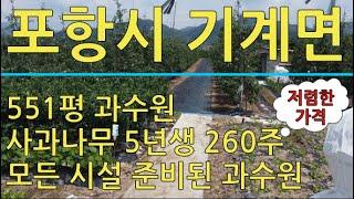 포항시 기계면 인비리 준비된 소형 과수원 매매