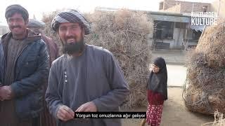 Afganistanda Oduncularin Zor Hayati | Afganistan BELGESELI