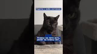 Планы на лето