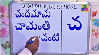 తెలుగు పదాలు చంటి,చిన్నారి,చుక్కలు-TELUGU WORDS LEARNING FOR 1ST&2ND GRADE-TELUGU CHA GUNITA PADALU