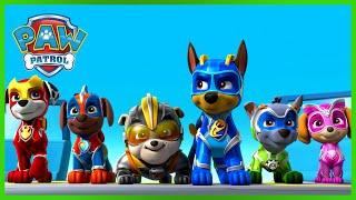 I Mighty Pups fermano un razzo e altro ancora - PAW Patrol I cuccioli Episodi Italiano - Pup Tales