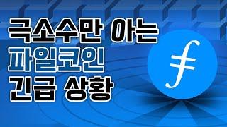 극소수만 아는 파일코인 실제상황