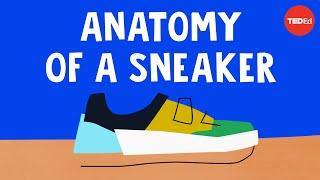 The wildly complex anatomy of a sneaker - Angel Chang