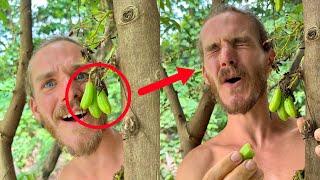 The Most Sour Fruit In The World (Must Watch)