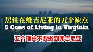 不要搬到弗吉尼亚的五个理由 住在维州的五个缺点 5 Cons to Living in Virginia Echo走遍美国， Echo's happy life. Echo的幸福生活