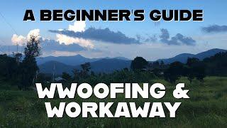 WWOOFING + WORKAWAY ADVICE | My Experiences in Hawaii, Spain and Thailand