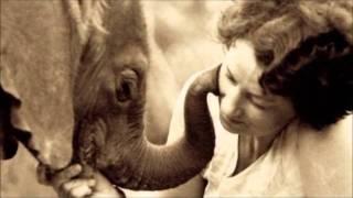 Dame Daphne Sheldrick talks about her autobiography (2012) | Sheldrick Trust