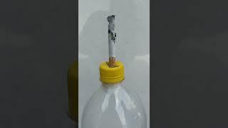 Effects of cigarettes on your lungs ️ #shorts #experiment #exploringscience