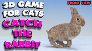 3D game for cats | CATCH THE RABBIT (front view) | 4K, 60 fps, stereo sound