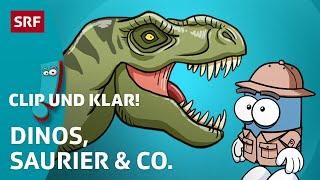 Was du über Dinosaurier wissen musst  | SRF Kids – Clip und klar! | Für Kinder erklärt