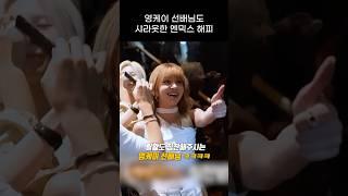 [엔믹스] 해피 커버 샤라웃 해주시는 영케이 선배님 ㅋㅋㅋㅋ