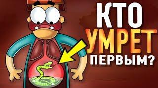 Что Если Проглотить Самую Ядовитую Змею ?