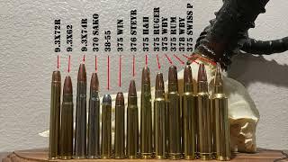 Ultimate Guide To 9.3mm & 375 Cal Cartridges | 9.3x62, 375 H&H, 375 Ruger, 375 RUM, 375 Wby & More!