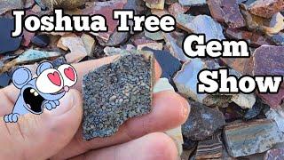 Joshua Tree Fall 2024 🪨 #joshuatree #gemshow #gemsandminerals #gemstonejewelry #crystals #gems