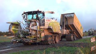 Maïs 2012 | Claas Jaguar 960 op 4 rupsen met een container haakarm voor de natte percelen | Hartog