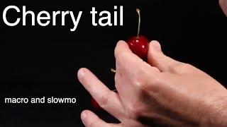 Cherry tail