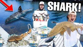 Finding TONS of SHARKS At SALTWATER DOCK Using 1000 LBS of DEAD Fish!