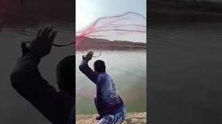 Most Satisfying Cast Net Fishing Video, Catch fish with the fishing net