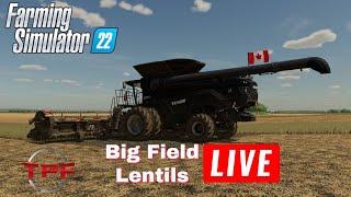 FS 22 LIVE!!!! Raymore Sask 16x 750 Acre lentil Harvest| SP | LIVE!!!!