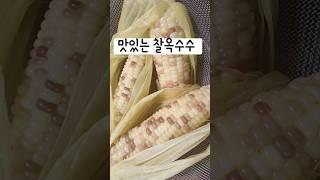 전기압력밥솥 옥수수찌기 옥수수찌는법 여름간식