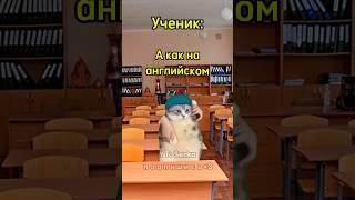 Школьник перехитрил учителя  #мем #котики