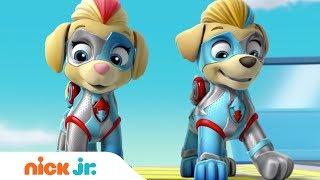 The Mighty Twins In Action  PAW Patrol | Nick Jr.