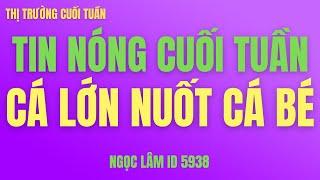 Tin nóng cuối tuần, chứng khoán hôm nay, cơ hội đầu tư cổ phiếu, top danh mục mạnh nhất - Ngọc lâm