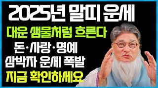 2025년 말띠 운세: 샘물처럼 흘러넘치는 대운! 돈·사랑·명예, 삼박자 폭발 상승!