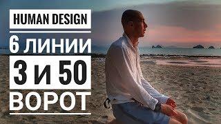 Дизайн Человека 3 и 50 ворота. 6 линии Даниил Трофимов. Human Design. Транзиты