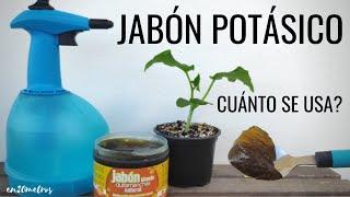 Cómo preparar UNA DOSIS de JABÓN POTÁSICO: el tutorial + claro || en20metros