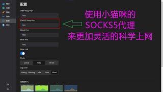 使用OpenClash的Socks5代理上网